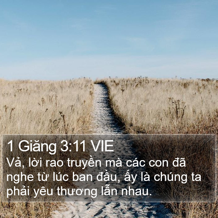 1 Giăng 3:11 VIE Bible Study