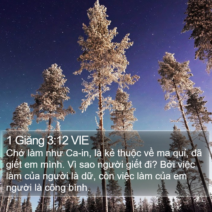 1 Giăng 3:12 VIE Bible Study