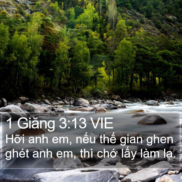1 Giăng 3:13 VIE Bible Study