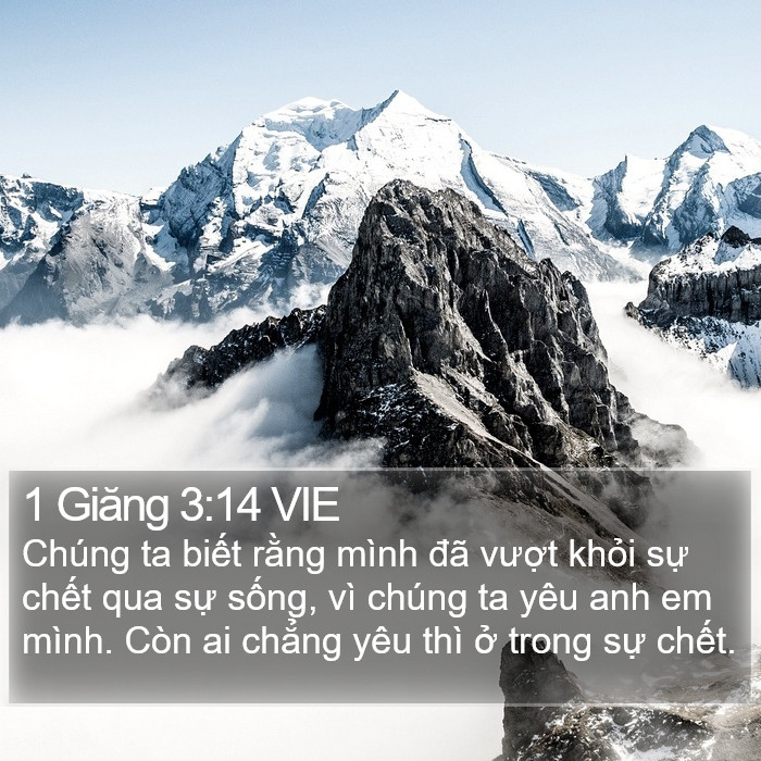 1 Giăng 3:14 VIE Bible Study