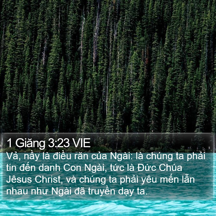 1 Giăng 3:23 VIE Bible Study