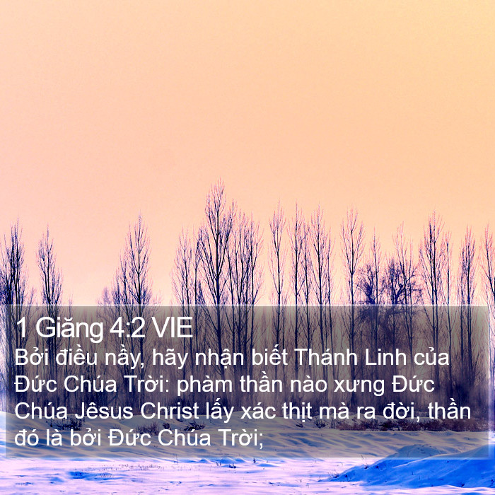 1 Giăng 4:2 VIE Bible Study