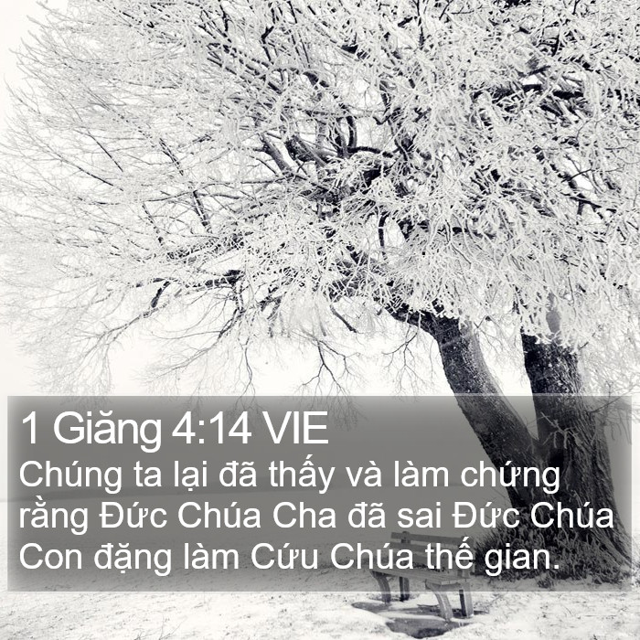 1 Giăng 4:14 VIE Bible Study