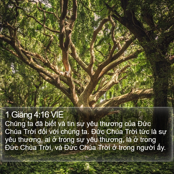 1 Giăng 4:16 VIE Bible Study