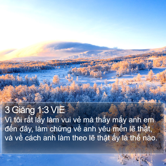 3 Giăng 1:3 VIE Bible Study