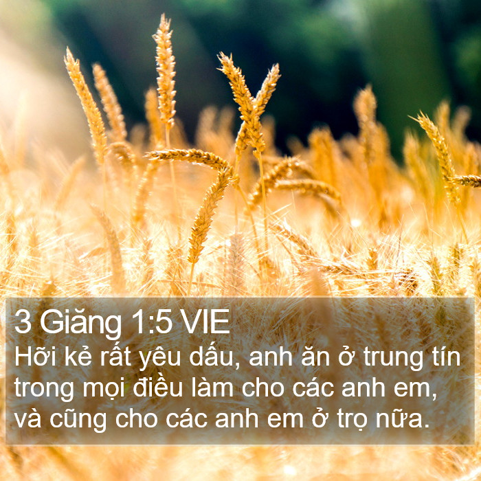 3 Giăng 1:5 VIE Bible Study