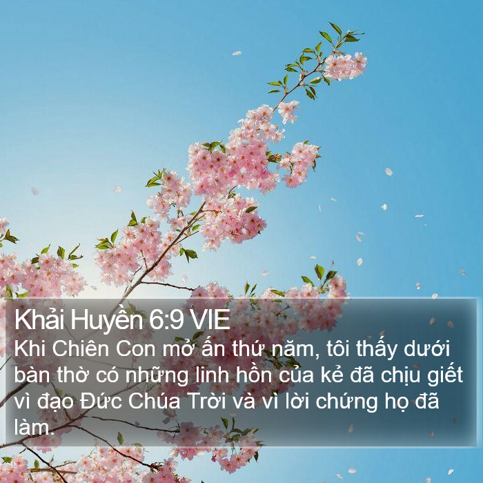 Khải Huyền 6:9 VIE Bible Study