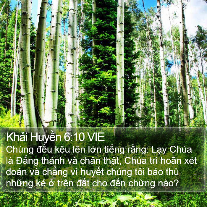 Khải Huyền 6:10 VIE Bible Study