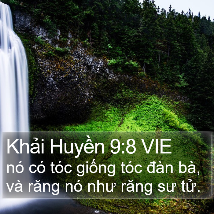 Khải Huyền 9:8 VIE Bible Study