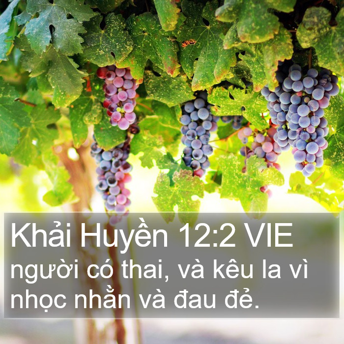 Khải Huyền 12:2 VIE Bible Study