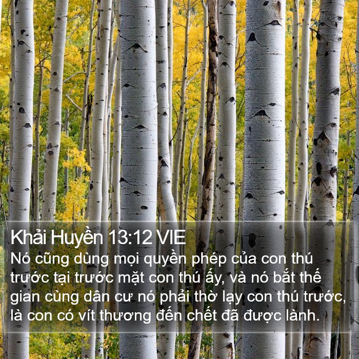 Khải Huyền 13:12 VIE Bible Study