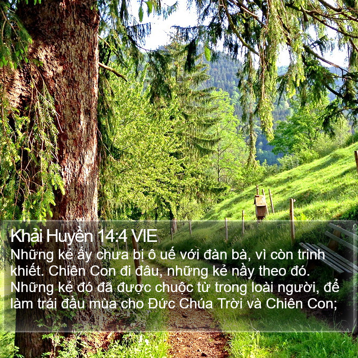 Khải Huyền 14:4 VIE Bible Study