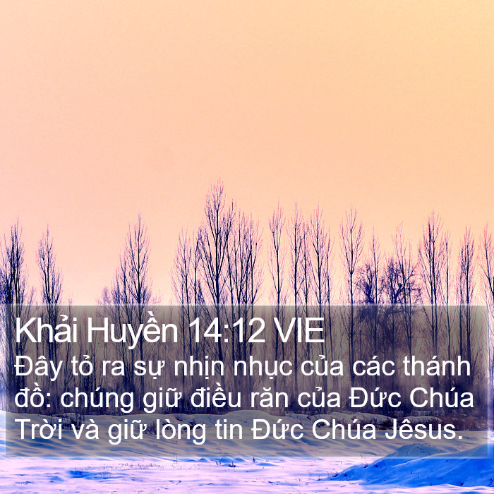 Khải Huyền 14:12 VIE Bible Study