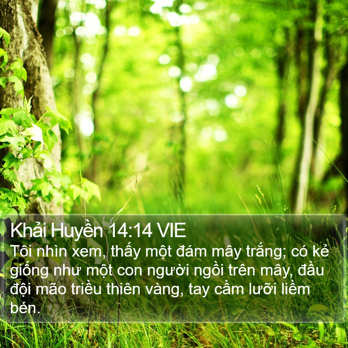 Khải Huyền 14:14 VIE Bible Study