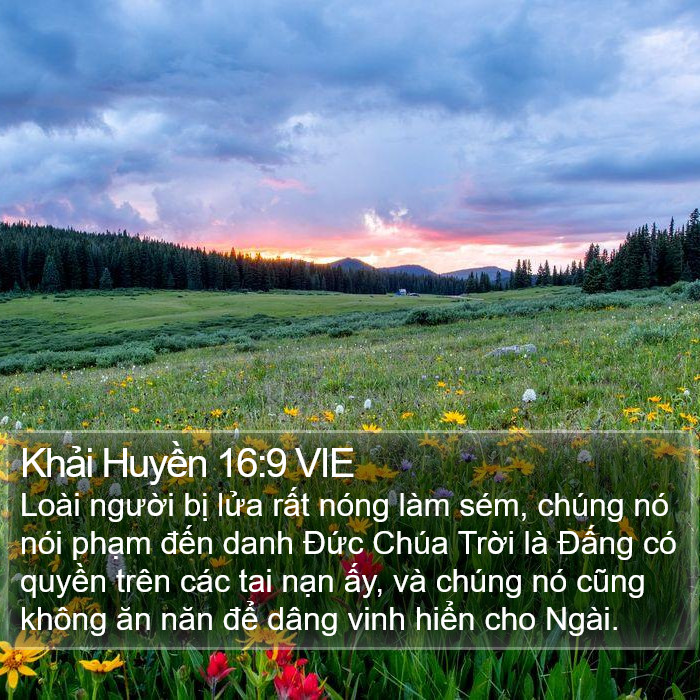 Khải Huyền 16:9 VIE Bible Study