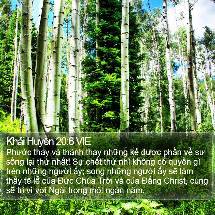 Khải Huyền 20:6 VIE Bible Study